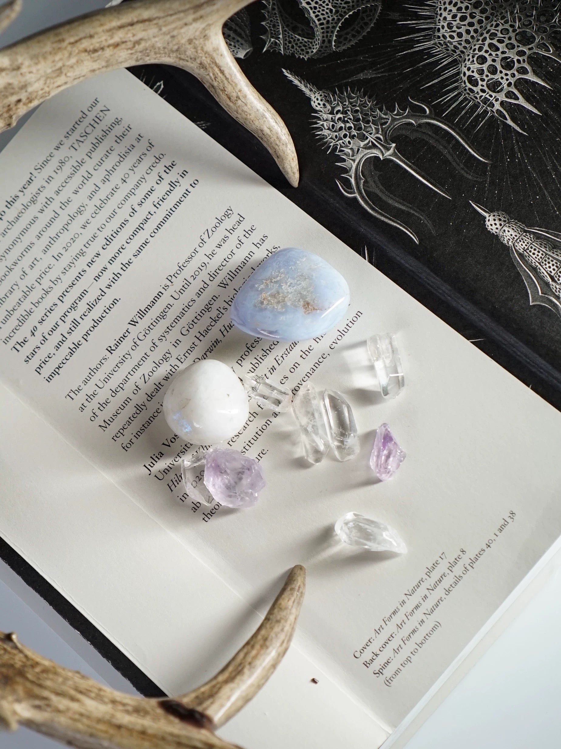 Tumbled Polished Natural Stones for Wicca, Reiki, and Energy Crystal Healing (Assorted) My Store