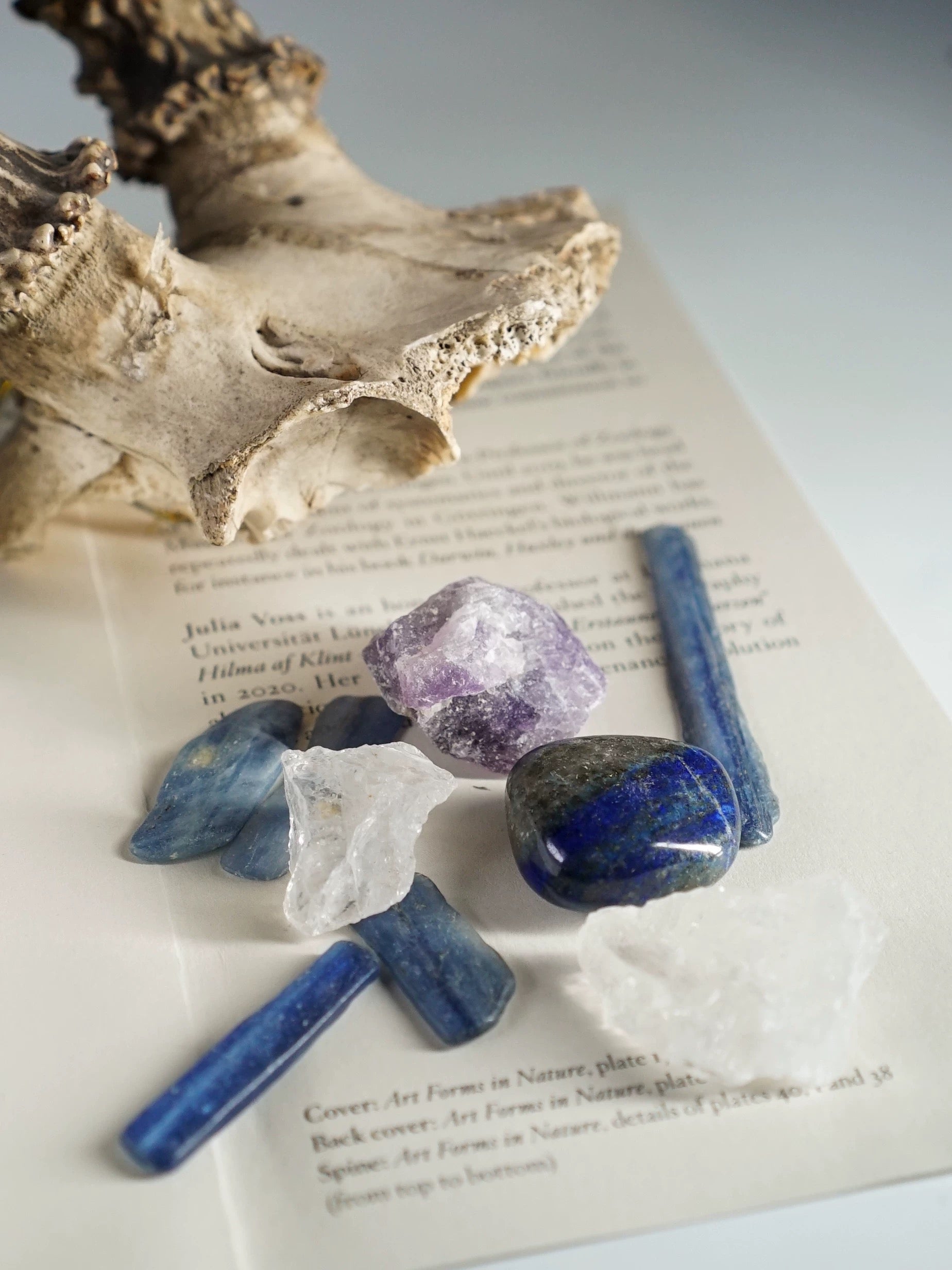 Tumbled Polished Natural Stones for Wicca, Reiki, and Energy Crystal Healing (Assorted) My Store